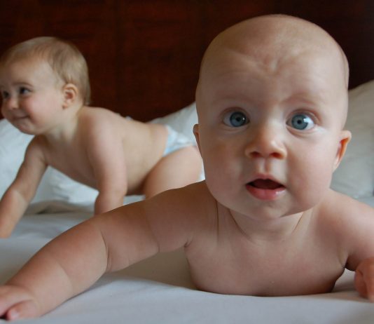 Es ist an der Zeit – eine NGO für Geburtenförderung